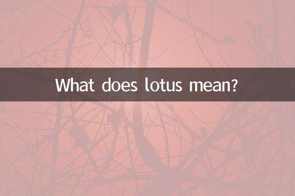 نیلوفر آبی یعنی چه؟