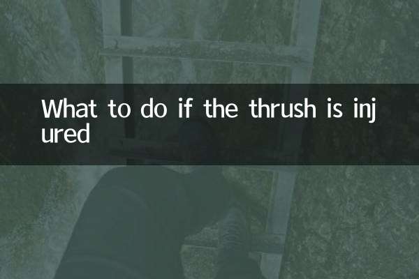 Que faire si le muguet est blessé