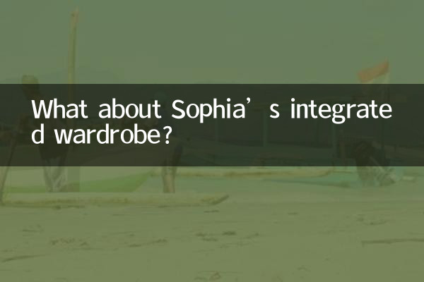 صوفیہ کی مربوط الماری کے بارے میں کیا خیال ہے؟