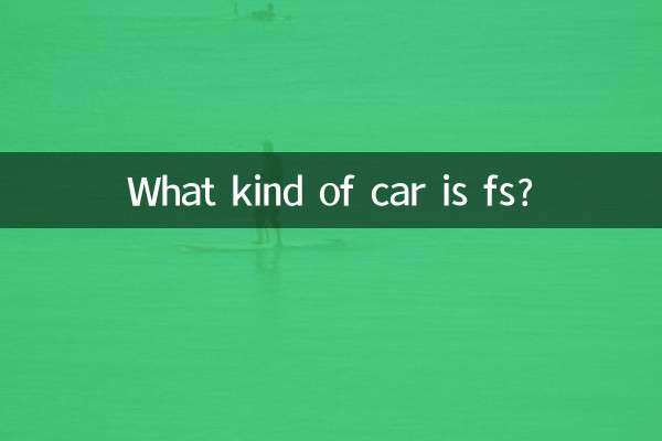 fs چه نوع ماشینی است؟