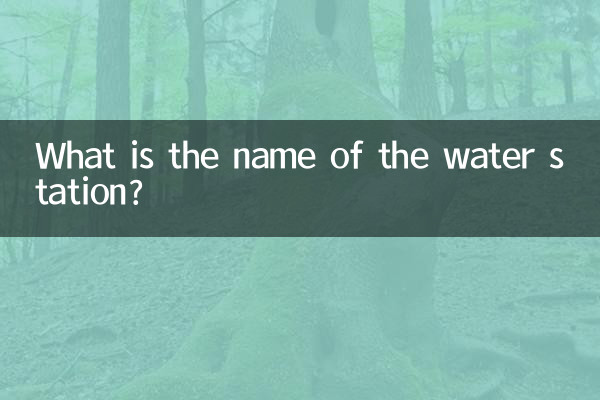 ما اسم محطة المياه؟
