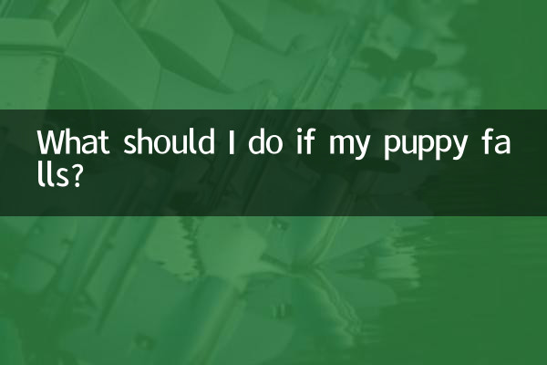 Que dois-je faire si mon chiot tombe ?