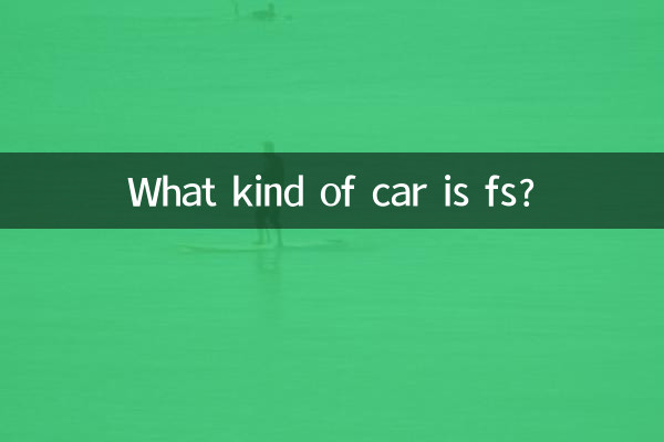 fs چه نوع ماشینی است؟