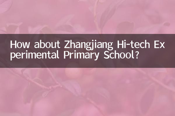 Wie wäre es mit der Zhangjiang Hi-Tech Experimental Primary School?