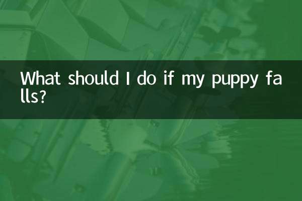 আমার কুকুরছানা পড়ে গেলে আমার কী করা উচিত?