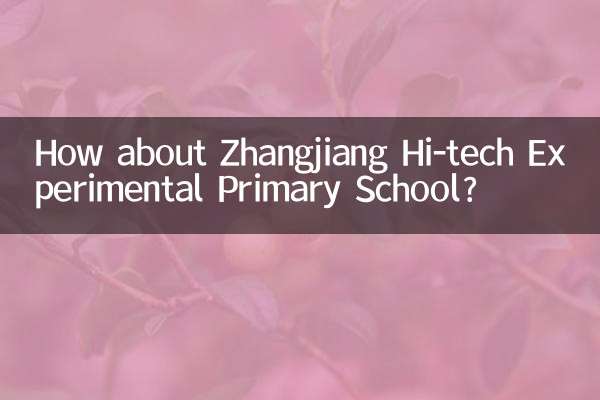 張江ハイテク実験小学校はどうですか？