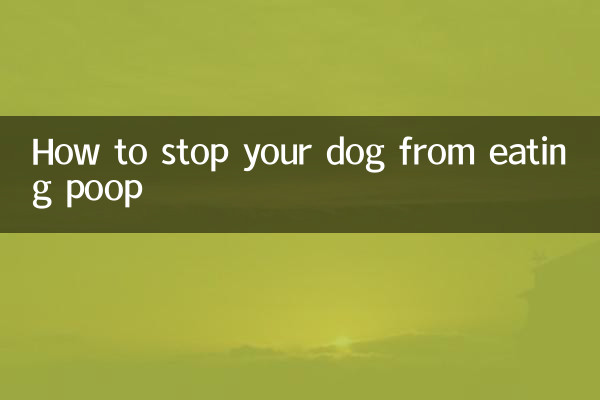 Cómo evitar que tu perro coma caca