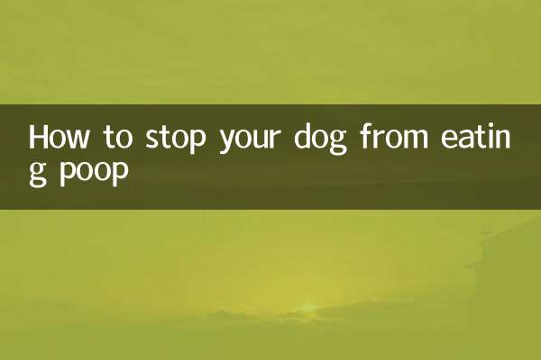 Cómo evitar que tu perro coma caca