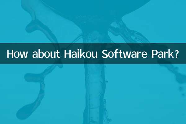 হাইকো সফটওয়্যার পার্ক সম্পর্কে কেমন?