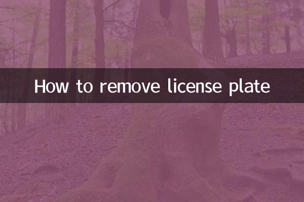 Cómo quitar la matrícula