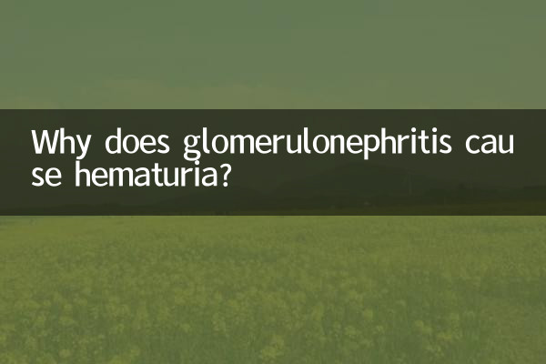 腎小球腎炎為什麼有血尿