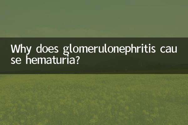 肾小球肾炎为什么有血尿