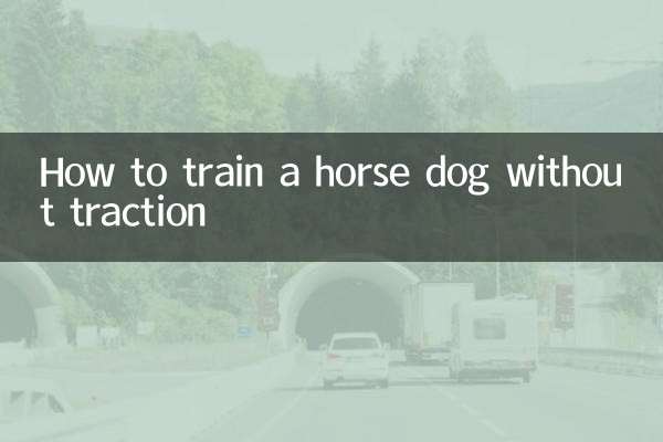 怎么训练马犬不用牵引