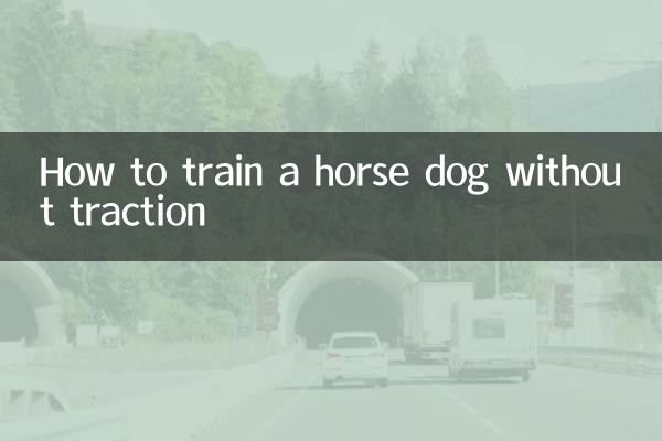 怎么训练马犬不用牵引