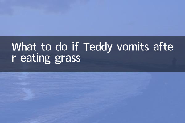 Qué hacer si Teddy vomita después de comer hierba