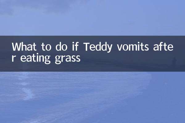 Qué hacer si Teddy vomita después de comer hierba