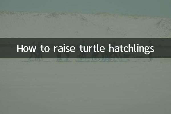 Come allevare i piccoli di tartaruga