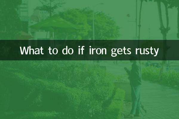 अगर लोहे में जंग लग जाए तो क्या करें?