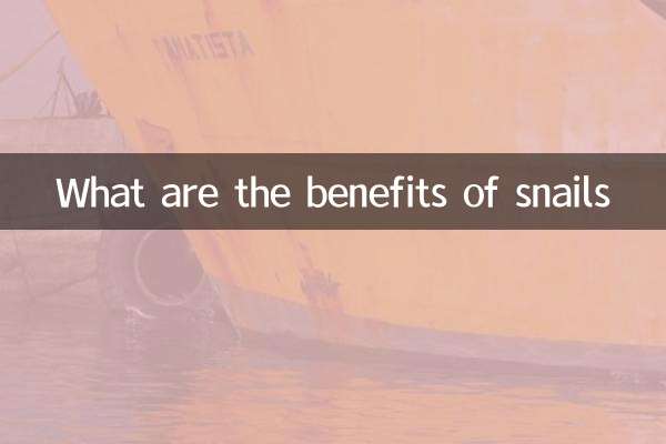Quali sono i benefici delle lumache