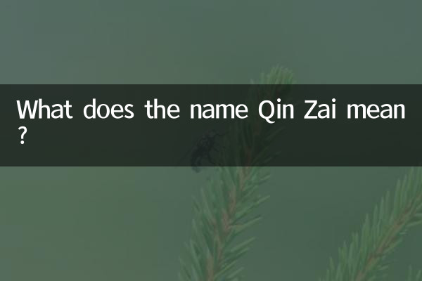 What does the name Qin Zai mean?