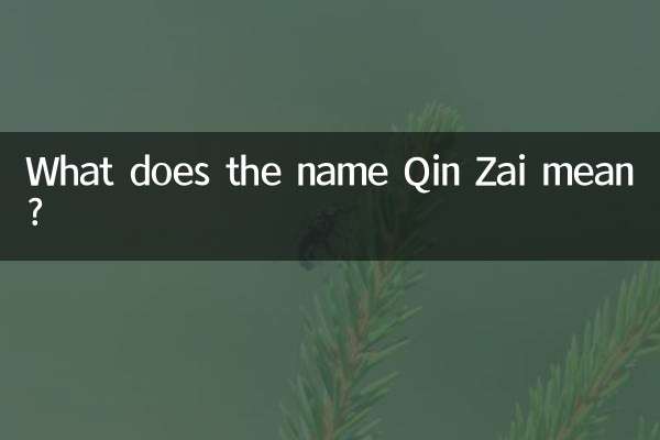 What does the name Qin Zai mean?