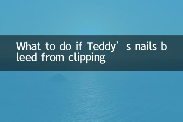 What to do if Teddy’s nails bleed from clipping