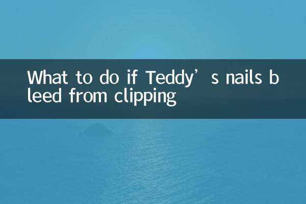 What to do if Teddy’s nails bleed from clipping