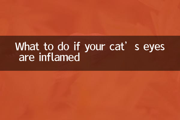 Que faire si les yeux de votre chat sont enflammés