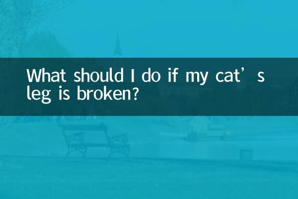اگر پای گربه من شکسته است چه کار کنم؟