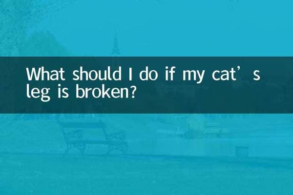 اگر پای گربه من شکسته است چه کار کنم؟