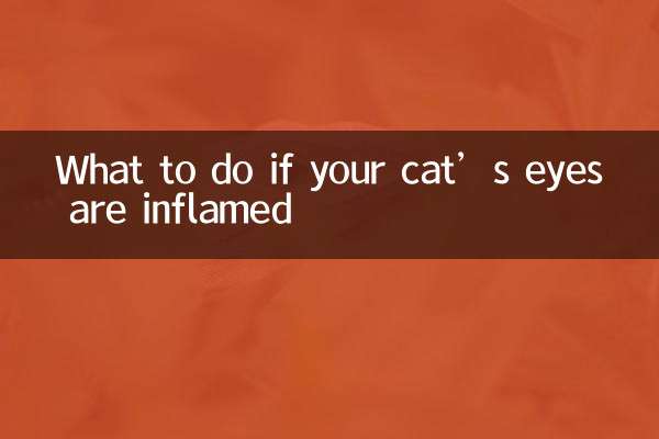 Que faire si les yeux de votre chat sont enflammés