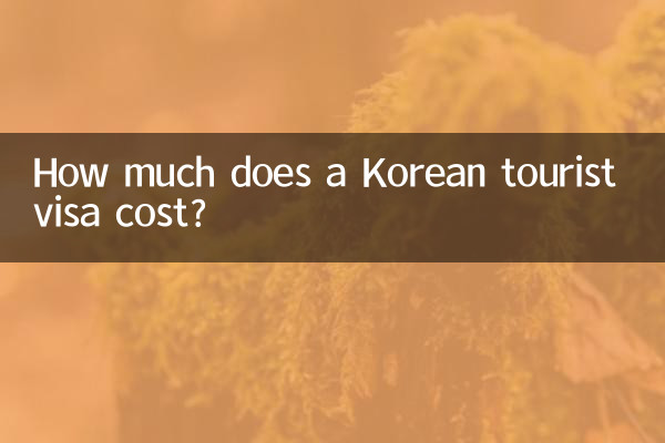 한국 관광 비자 비용은 얼마입니까?