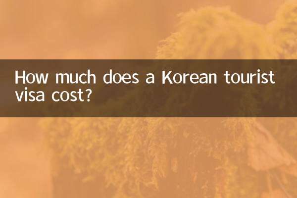 韓国の観光ビザの費用はいくらですか?
