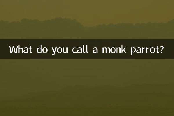 آپ راہب طوطے کو کیا کہتے ہیں؟