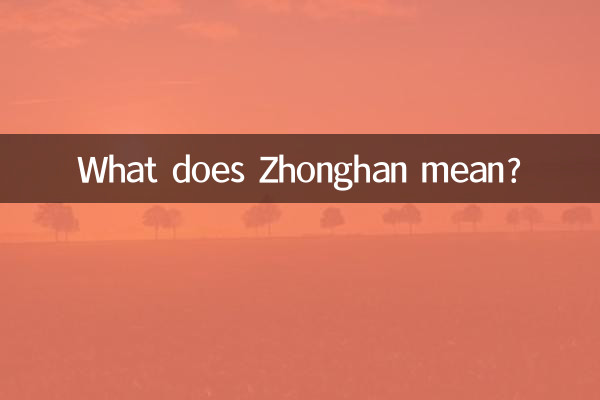 中漢ってどういう意味ですか?