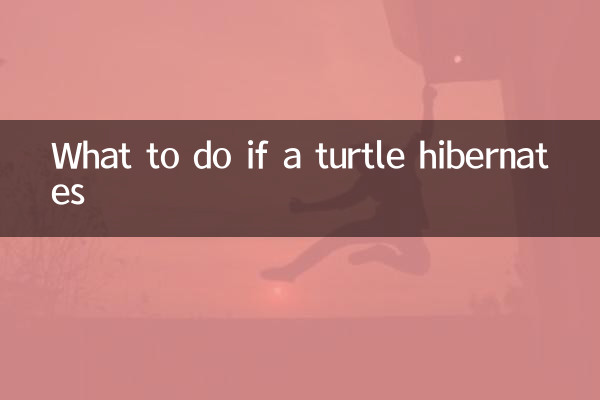 اگر کوئی کچھی ہائبرنیٹ کرتا ہے تو کیا کریں