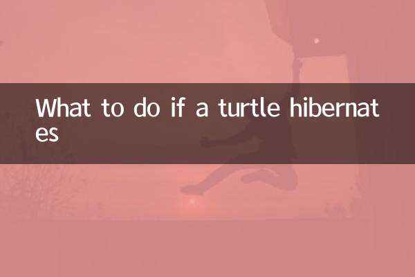 اگر کوئی کچھی ہائبرنیٹ کرتا ہے تو کیا کریں