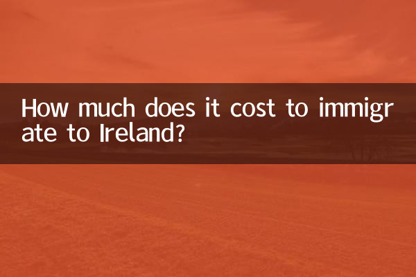 Combien coûte l’immigration en Irlande ?