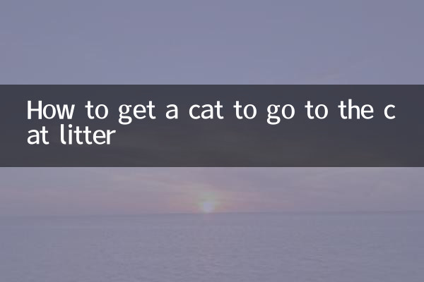 Come convincere un gatto ad andare alla lettiera