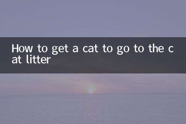 Come convincere un gatto ad andare alla lettiera