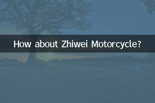 ज़ीवेई मोटरसाइकिल के बारे में क्या ख्याल है?