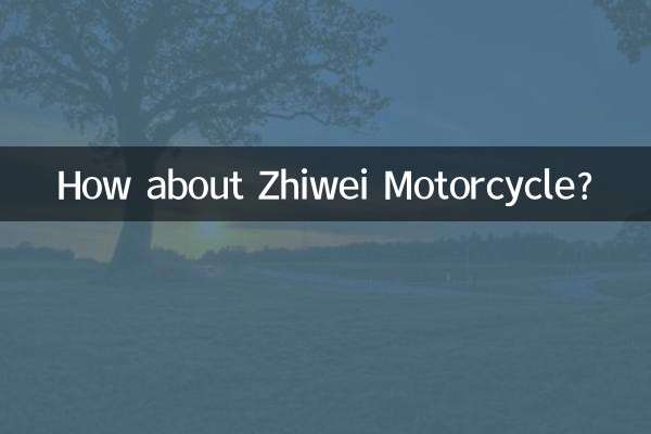 How about Zhiwei Motorcycle?