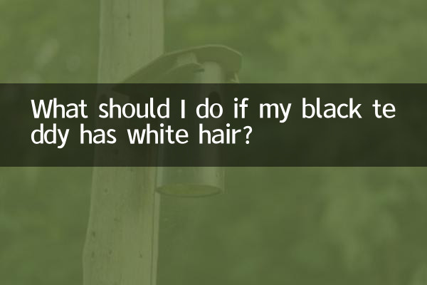 यदि मेरे काले टेडी पर सफेद बाल हों तो मुझे क्या करना चाहिए?