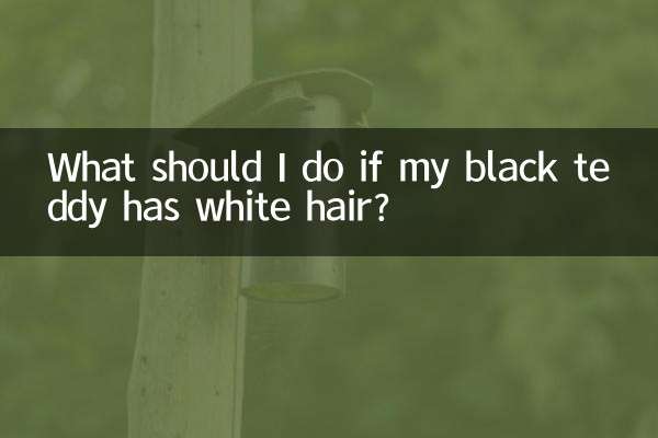 यदि मेरे काले टेडी पर सफेद बाल हों तो मुझे क्या करना चाहिए?