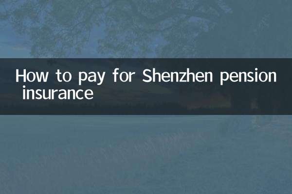 Come pagare l'assicurazione pensionistica di Shenzhen