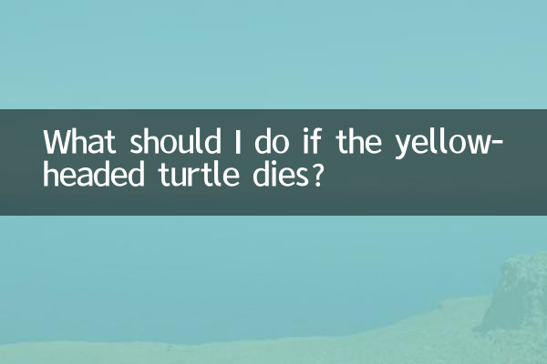 Cosa devo fare se la tartaruga dalla testa gialla muore?
