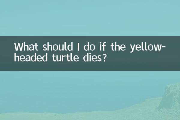 Cosa devo fare se la tartaruga dalla testa gialla muore?