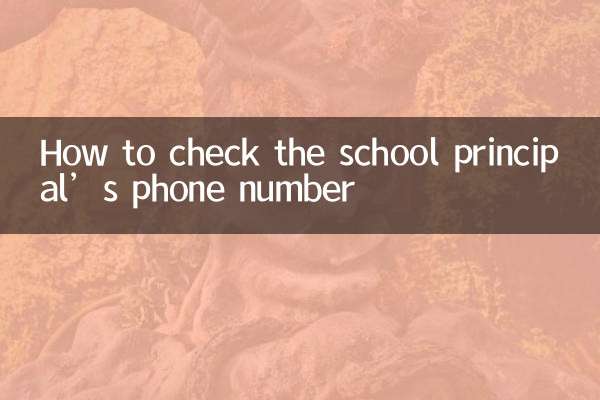 Как узнать номер телефона директора школы
