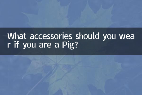 Welche Accessoires sollten Sie tragen, wenn Sie ein Schwein sind?