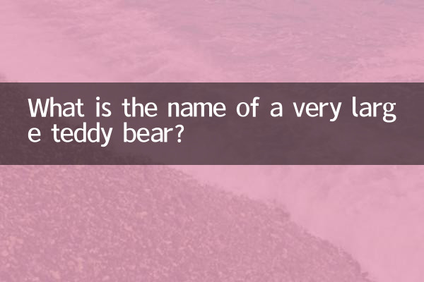 特別大的玩具熊叫什麼